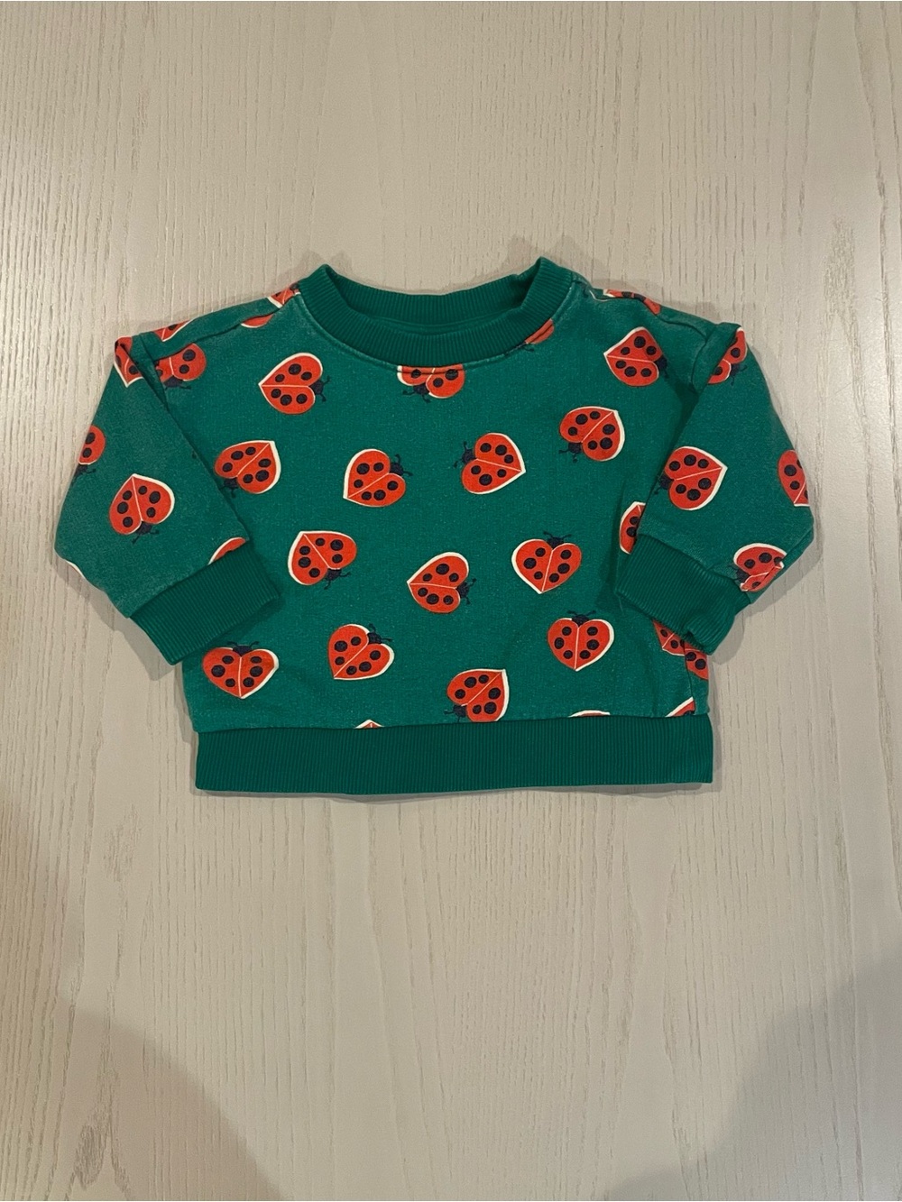 Hanna Andersson Baby Sweatshirt In French Terry (Ladybug) - Size 3-6 months 60